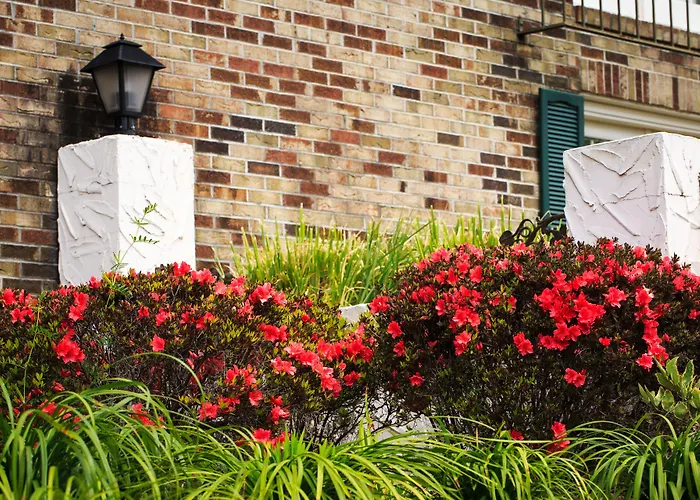 Comfort Inn Savannah Midtown